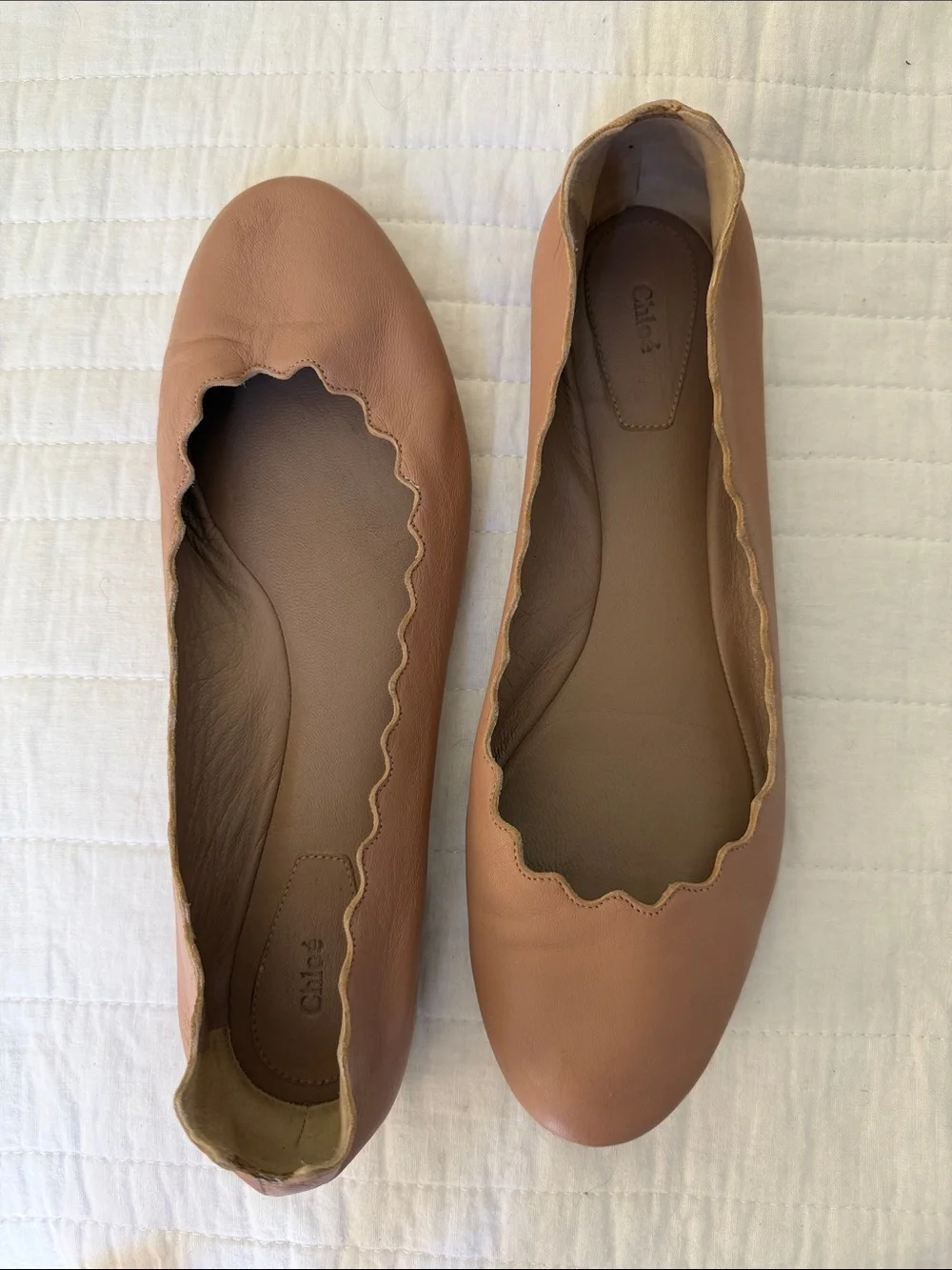 Chloe Lauren Scalloped Ballet Flat